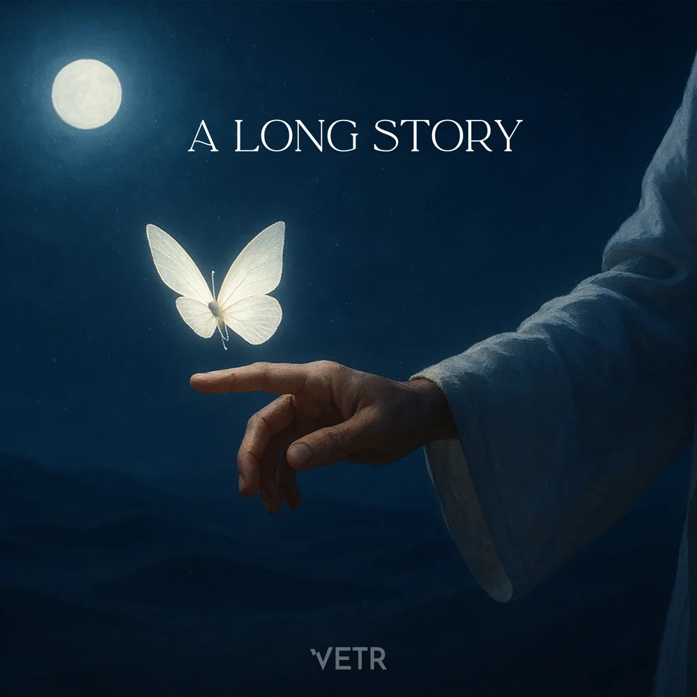 A Long Story cover
