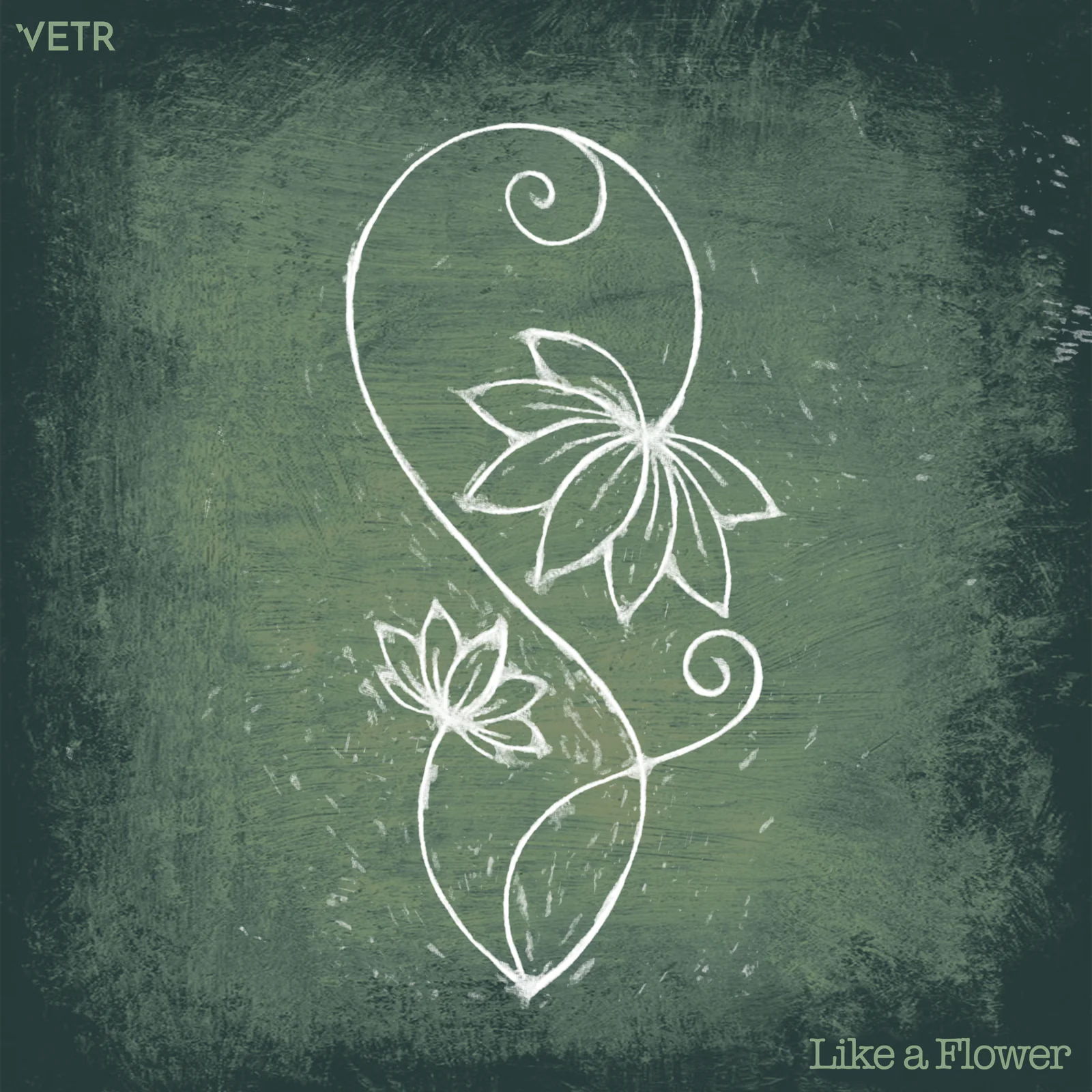 Like a Flower cover