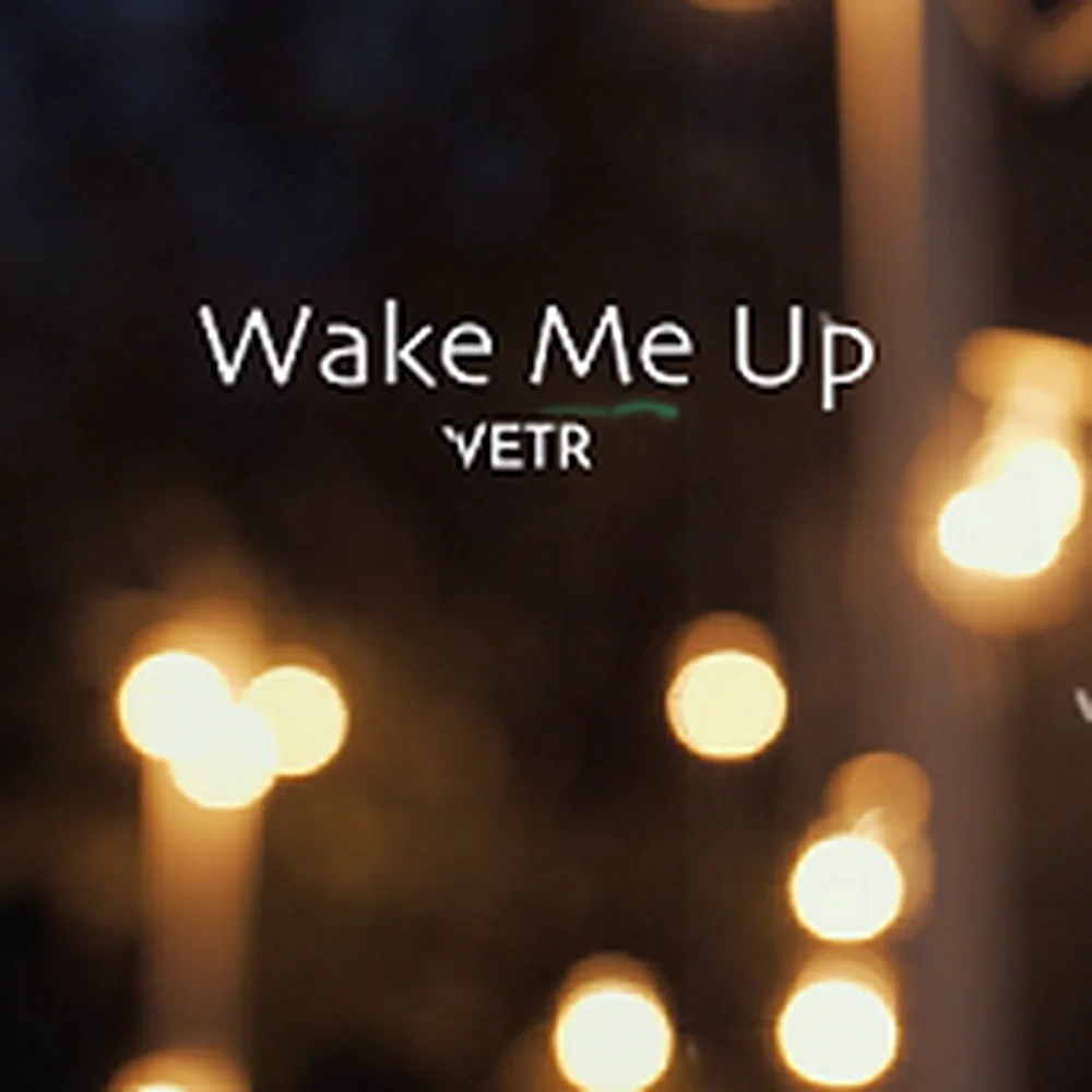 Wake Me Up cover